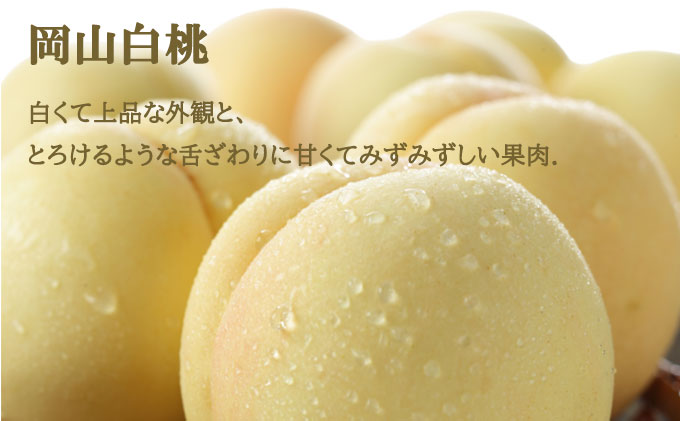 岡山白桃 ロイヤル 2玉×約200g（Lサイズ、早生種・中生種）ニューピオーネ 1房約400g 詰合せ 岡山県産 果物類 ぶどう ブドウ 種なし もも モモ フルーツ デザート 食後 おやつ 産地直送 