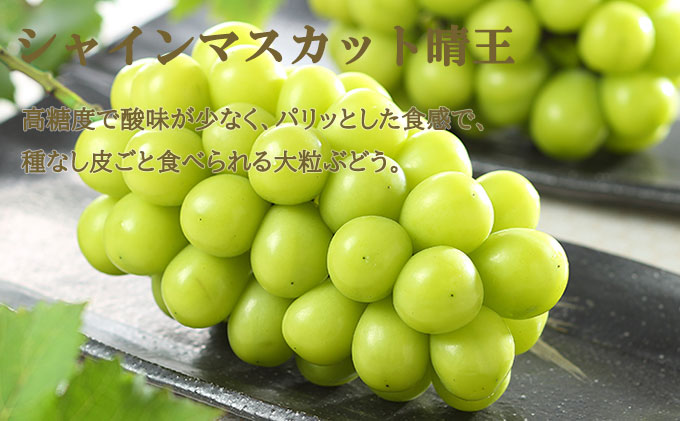 岡山白桃 エース 2玉×約200g（Lサイズ、早生種・中生種）シャインマスカット 晴王 1房約400g 詰合せ 岡山県産 果物類 ぶどう ブドウ 種なし もも モモ フルーツ デザート 食後 産地直送 