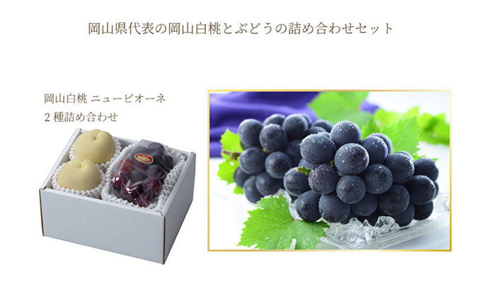 岡山白桃 ロイヤル 2玉×約200g（Lサイズ、早生種・中生種）ニューピオーネ 1房約400g 詰合せ 岡山県産 果物類 ぶどう ブドウ 種なし もも モモ フルーツ デザート 食後 おやつ 産地直送 