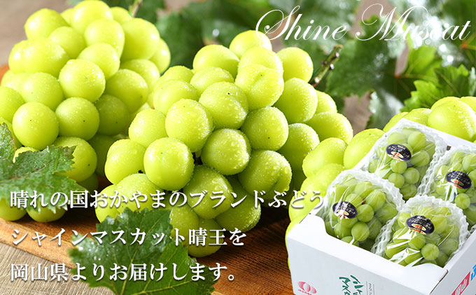 ã¶ã©ã 2026幎 å
è¡äºçŽ ã·ã£ã€ã³ ãã¹ã«ãã æŽç 3æ¿ïœ6æ¿ çŽ1.5kg 7æäžæ¬ïœ8æäžæ¬çºé ãã㊠è¡è 岡山çç£ åœç£ ãã«ãŒã æç© ã®ãã