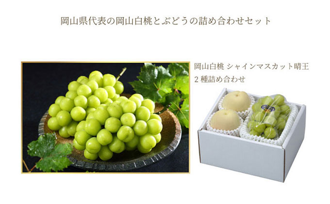 岡山白桃 ロイヤル 2玉×約250g（2Lサイズ、早生種・中生種）シャインマスカット 晴王 1房約500g 詰合せ 岡山県産 果物類 ぶどう ブドウ 種無し フルーツ デザート 食後 おやつ 産地直送 