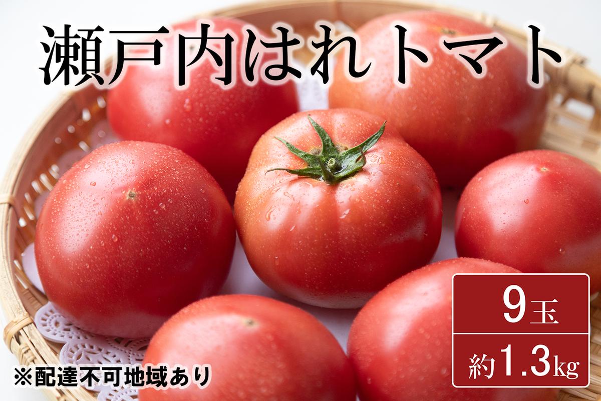 期間限定【産地直送】瀬戸内はれトマト（桃太郎トマト）9玉 約1.3kg 野菜 夏野菜 リコピン 岡山県産 サラダ 料理 緑黄色野菜