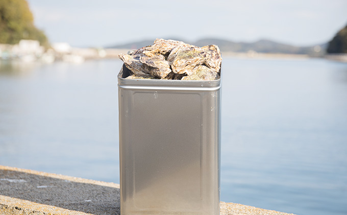 牡蠣 2026年 先行予約 殻付き牡蠣 お徳用 一斗缶 （小粒 約100個、約10kg） 山銀商店 瀬戸内海虫明湾産 生牡蠣 かき 魚介類 カキ 軍手 ナイフ付き 加熱調理用