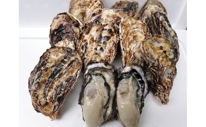 牡蠣 2026年 先行予約 殻付き 大つぶ牡蠣 30個 山銀商店 瀬戸内海虫明湾産 大粒 