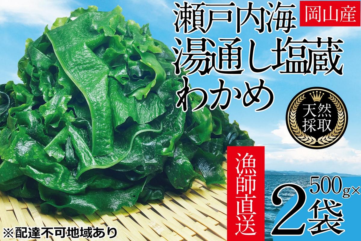 湯通し塩蔵 瀬戸内 わかめ 500g×2袋【岡山 瀬戸内海 天然 塩蔵】 無添加 無着色 健康 味噌汁 炊き込み サラダ