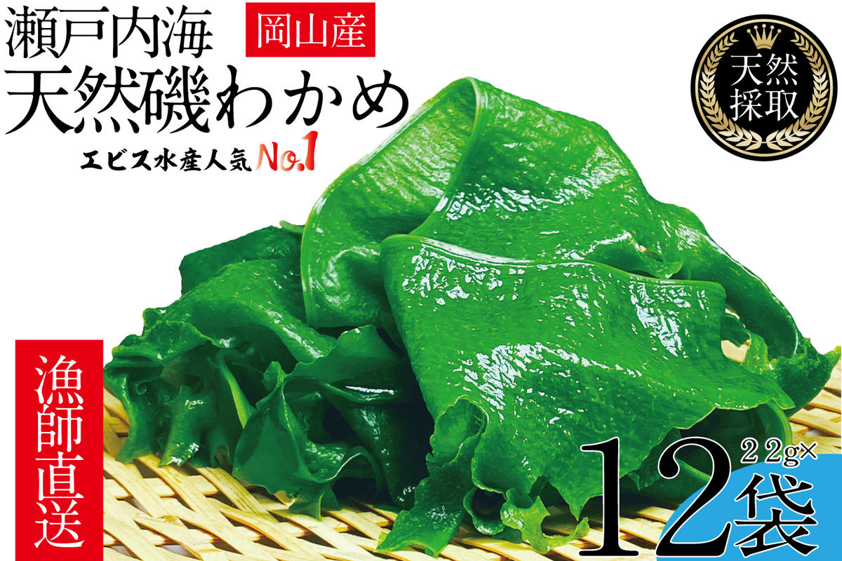 風味豊かな 瀬戸内 わかめ 22g×12袋 エビス水産【岡山 瀬戸内海 天然 カットわかめ】 常備菜 無添加 無着色 味噌汁 炊き込み