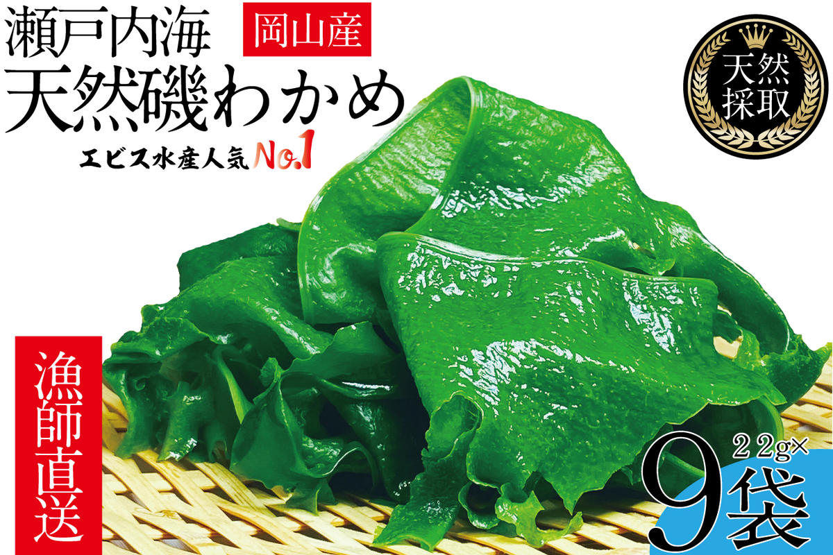 風味豊かな 瀬戸内 わかめ 22g×9袋 エビス水産【岡山 瀬戸内海 天然 カットわかめ】 常備菜 無添加 無着色 味噌汁 炊き込み