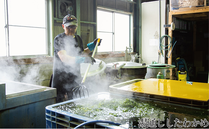 瀬戸内で採れた島磯香る わかめ 22g×9袋と ひじき 28g×9袋 セット【岡山 瀬戸内海 鉄釜炊 天然】 鉄釜製法 鉄分 無添加 無着色 添加物不使用 