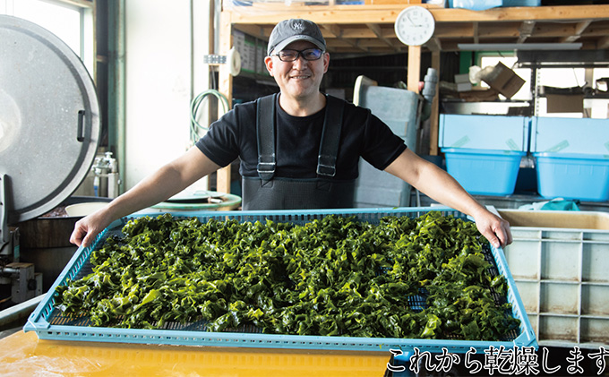 瀬戸内で採れた島磯香る わかめ 22g×6袋と ひじき 28g×6袋 セット【岡山 瀬戸内海 鉄釜炊 天然】 鉄釜製法 鉄分 無添加 無着色 添加物不使用 