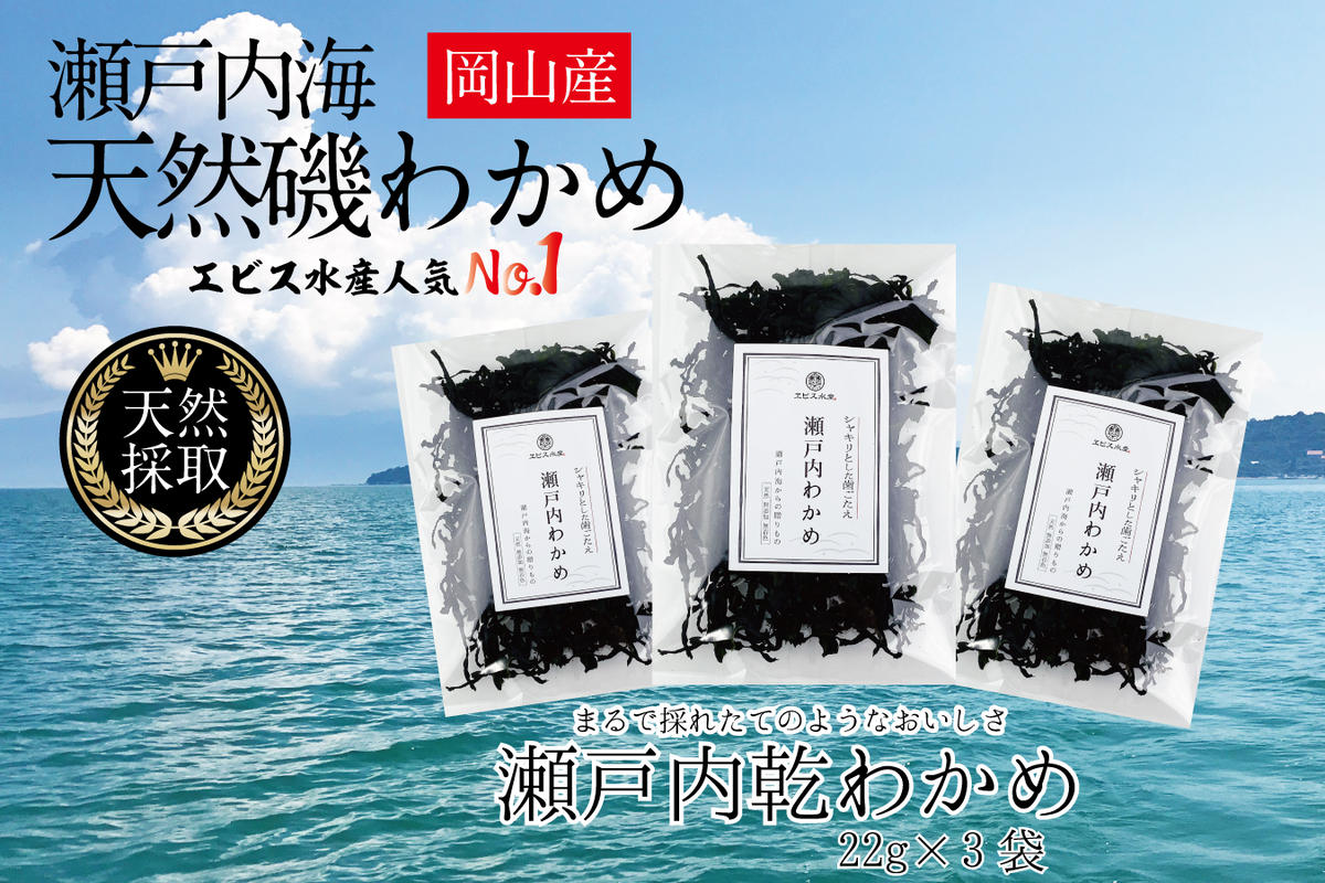 風味豊かな 瀬戸内 わかめ 22g×3袋 エビス水産【岡山 瀬戸内海 天然 カットわかめ】 常備菜 無添加 無着色 味噌汁 炊き込み 