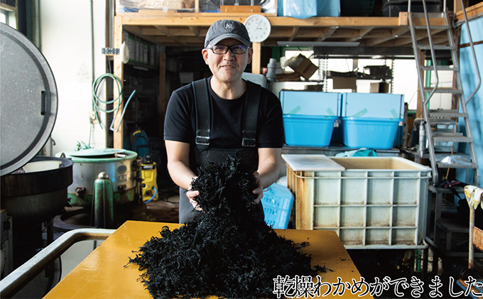 瀬戸内で採れた島磯香る わかめ 22g×3袋と ひじき 28g×3袋 セット【岡山 瀬戸内海 鉄釜炊 天然】 鉄釜製法 鉄分 無添加 無着色 添加物不使用 