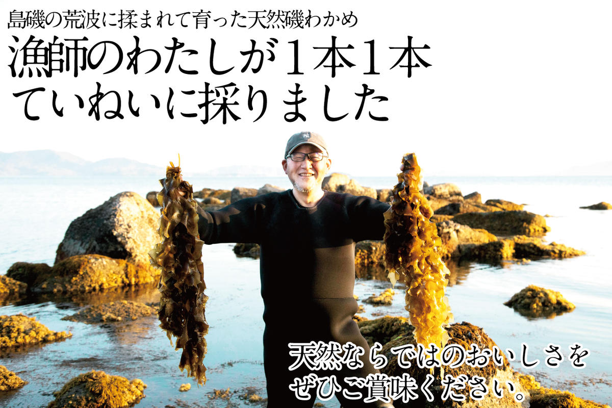 湯通し塩蔵 瀬戸内 わかめ 500g×6袋【岡山 瀬戸内海 天然 塩蔵】 無添加 無着色 健康 味噌汁 炊き込み サラダ 