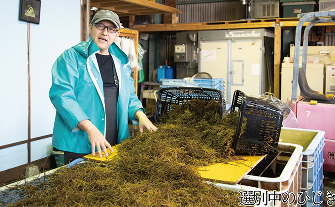 瀬戸内で採れた島磯香る わかめ 22g×6袋と ひじき 28g×6袋 セット【岡山 瀬戸内海 鉄釜炊 天然】 鉄釜製法 鉄分 無添加 無着色 添加物不使用 