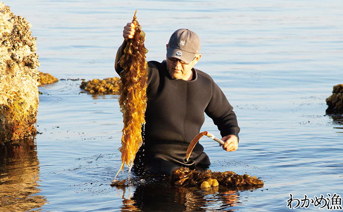 風味豊かな 瀬戸内 わかめ 22g×3袋 エビス水産【岡山 瀬戸内海 天然 カットわかめ】 常備菜 無添加 無着色 味噌汁 炊き込み 