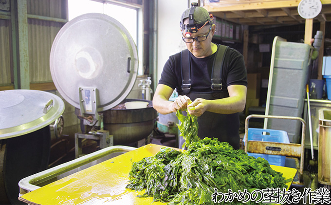 湯通し塩蔵 瀬戸内 わかめ 500g×5袋【岡山 瀬戸内海 天然 塩蔵】 無添加 無着色 健康 味噌汁 炊き込み サラダ 