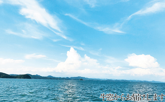 湯通し塩蔵 瀬戸内 わかめ 500g×2袋【岡山 瀬戸内海 天然 塩蔵】 無添加 無着色 健康 味噌汁 炊き込み サラダ 