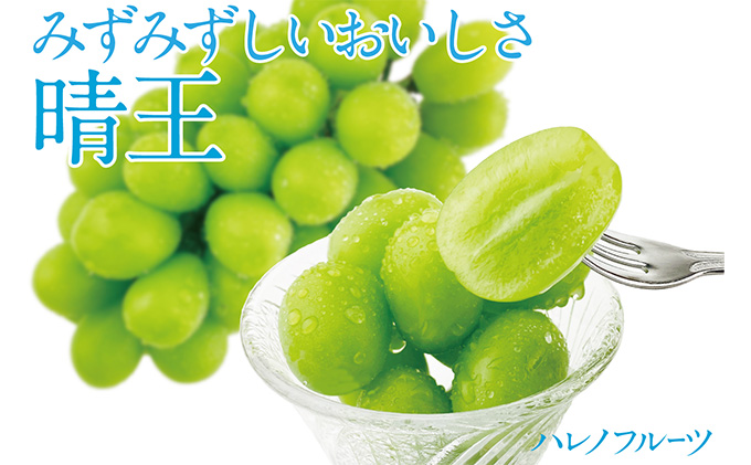 ã¶ã©ã 2026幎 å
è¡äºçŽ ã·ã£ã€ã³ ãã¹ã«ãã æŽç 1æ¿ çŽ670g æŽãã®åœ ããã㟠岡山çç£ ãã«ãŒãçåœ æç©çåœ é£åŸ ç£å°çŽé