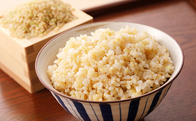 令和7年産 きぬむすめ 玄米 10kg お米 岡山