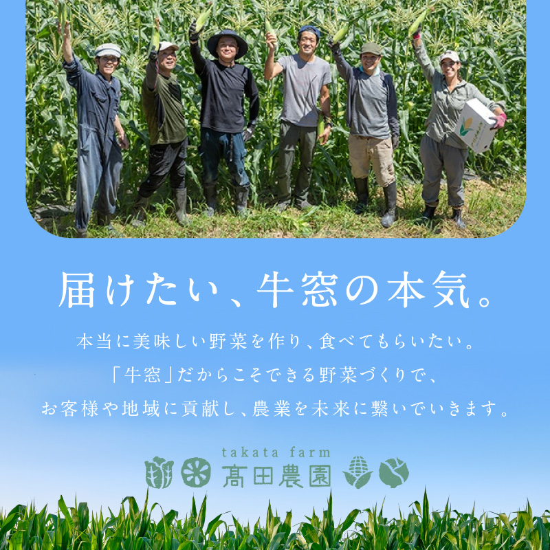 ［2026年先行予約］牛窓産とうもろこし まるでフルーツ！最高糖度25度超え 生で甘い、茹でて美味い！ 黄色 とうもろこし 「桃太郎コーン」約4kg（8～12本入り） 野菜 
