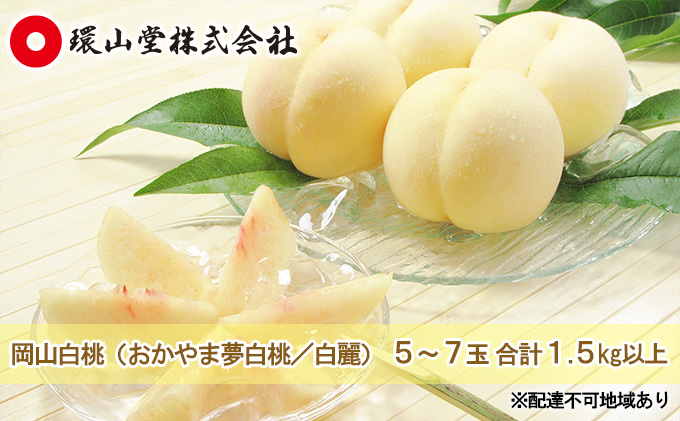 桃 2026年 先行予約 岡山 白桃（品種：おかやま夢白桃／白麗）5～7玉 合計1.5kg以上 もも モモ 岡山県産 国産 フルーツ 果物 ギフト 環山堂 直射日光 有袋栽培 上品 甘み 香り 豊か とろける 果汁 贈り物