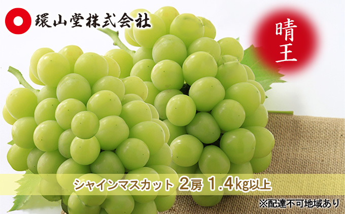 ぶどう 2026年 先行予約 シャイン マスカット 晴王 2房 合計1.4kg以上 マスカット ブドウ 葡萄  岡山県産 国産 フルーツ 果物 ギフト 環山堂 大粒 種無し 甘い 香り 皮ごと 高糖度 贈り物