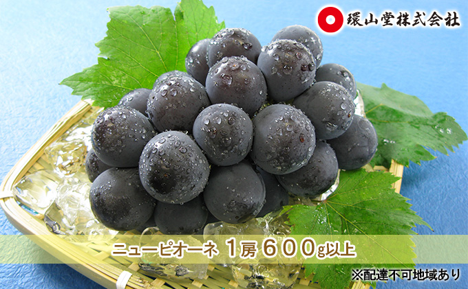 ぶどう 2026年 先行予約 ニュー ピオーネ 1房 600g以上 ブドウ 葡萄  岡山県産 国産 フルーツ 果物 ギフト 環山堂 大粒 種無し 甘い 甘酸っぱさ 人気 香り 高糖度 美しい 贈り物 ギフト 