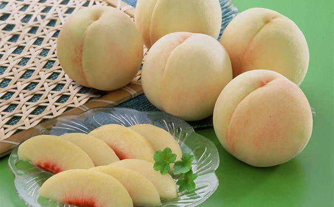 桃 2026年 先行予約 岡山 白桃（品種：白鳳／加納岩白桃）5～7玉 合計1.5kg以上 もも モモ 岡山県産 国産 フルーツ 果物 ギフト 環山堂 直射日光 有袋栽培 上品 甘み 香り 豊か とろける 果汁 贈り物 