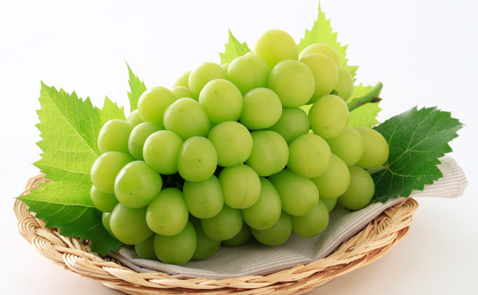 ã¶ã©ã 2026幎 å
è¡äºçŽ ã·ã£ã€ã³ ãã¹ã«ãã æŽç 1æ¿ 700gä»¥äž ãã¹ã«ãã ãã㊠è¡è 岡山çç£ åœç£ ãã«ãŒã æç© ã®ãã ç°å±±å å€§ç² çš®ç¡ã çã è±æœ€ éŠã ç®ããš é«ç³åºŠ èŽãç©