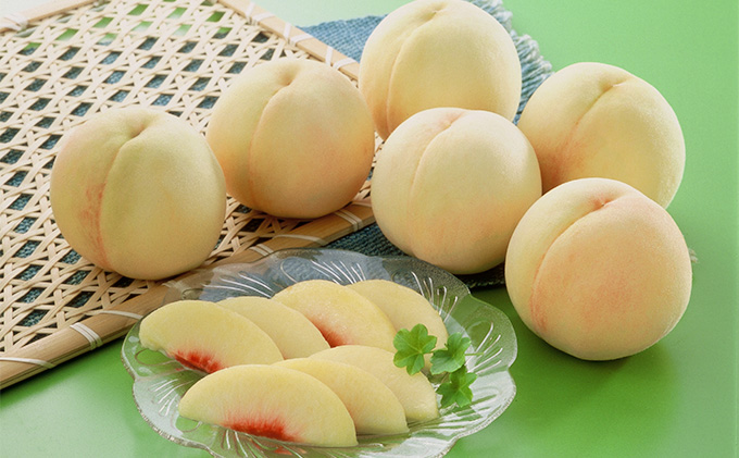 桃 2026年 先行予約 岡山 白桃 8〜10玉 合計2.0kg以上 もも モモ 岡山県産 国産 フルーツ 果物 ギフト 環山堂  直射日光 有袋栽培 皮が薄い 上品 甘み 香り 豊か とろける 果汁 贈り物 