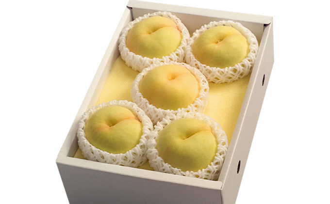 æ¡ 2026幎 å
è¡äºçŽ å²¡å±± æž
æ°Ž çœæ¡ 5ïœ7ç åèš1.5kgä»¥äž ãã ã¢ã¢ 岡山çç£ åœç£ ãã«ãŒã æç© ã®ãã ç°å±±å çŽå°æ¥å
æè¢æ œå¹ ç®ãèã äžå çã¿ éŠã åžå° ã¯ãªãŒããŒ ææ± èŽãç©