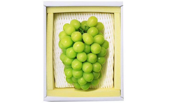 ã¶ã©ã 2026幎 å
è¡äºçŽ ã·ã£ã€ã³ ãã¹ã«ãã æŽç 1æ¿ 700gä»¥äž ãã¹ã«ãã ãã㊠è¡è 岡山çç£ åœç£ ãã«ãŒã æç© ã®ãã ç°å±±å å€§ç² çš®ç¡ã çã è±æœ€ éŠã ç®ããš é«ç³åºŠ èŽãç©