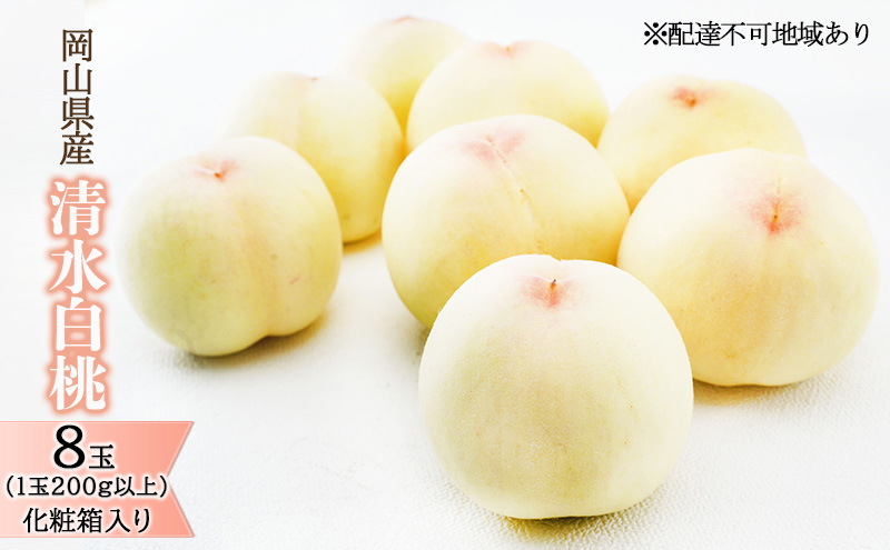 桃 2026年 先行予約 清水 白桃 8玉（1玉200g以上）化粧箱入り もも モモ 岡山県産 国産 フルーツ 果物 ギフト 最高級 乳白色 柔らかい 果汁 とろける 美味しい 贈り物