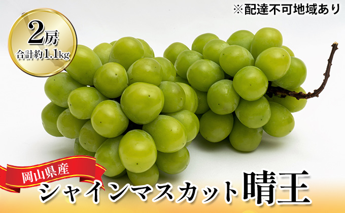 ã¶ã©ã 2026幎 å
è¡äºçŽ ã·ã£ã€ã³ ãã¹ã«ãã æŽç 2æ¿ ïŒåèšçŽ1.1kgïŒ åç²§ç®±å
¥ã ãã¹ã«ãã ãã㊠è¡è 岡山çç£ åœç£ ãã«ãŒã æç© ã®ãã