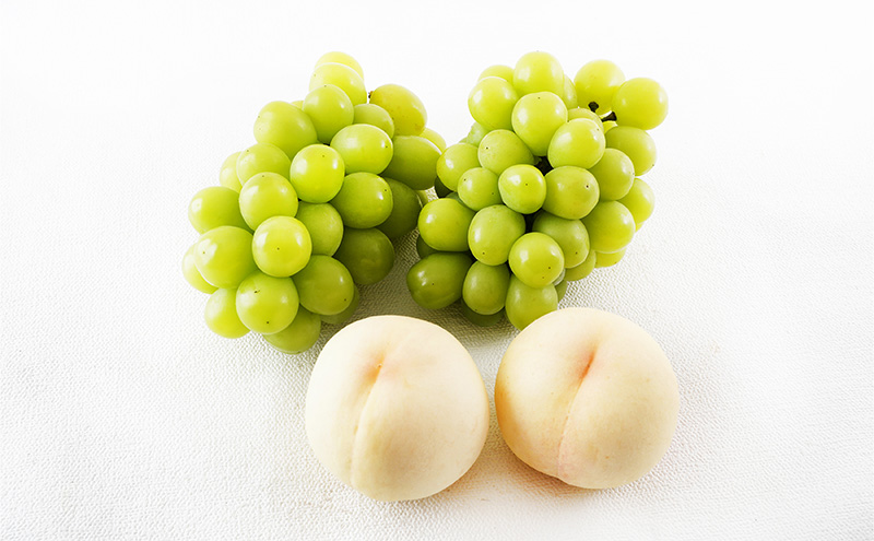 æ¡ ã¶ã©ã 2026幎 å
è¡äºçŽ æç©è©°åã çœæ¡ 2ç (1ç200g以äž) ã·ã£ã€ã³ ãã¹ã«ãã æŽç 2æ¿ (åèšçŽ940g) åç²§ç®±å
¥ã 岡山çç£ åœç£ ãã«ãŒã æç© ã®ãã