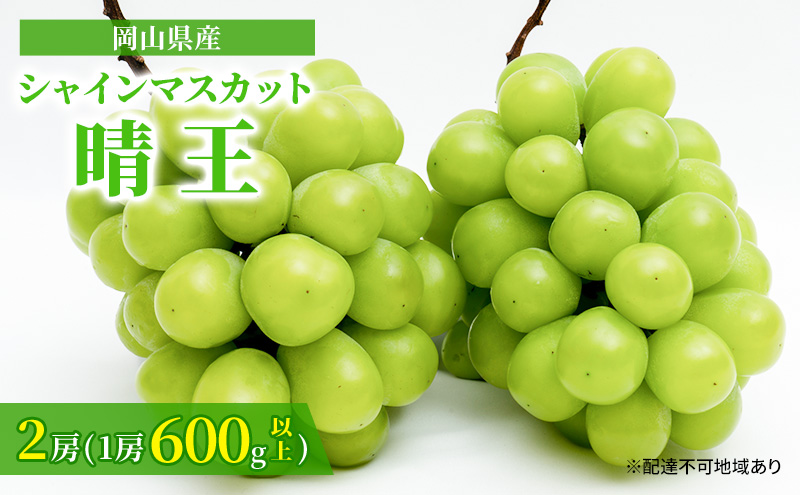 ぶどう 2026年 先行予約 シャイン マスカット 晴王 2房 （1房 600g以上） 化粧箱入り マスカット ブドウ 葡萄  岡山県産 国産 フルーツ 果物 ギフト 高級ぶどう 大粒 種なし 贈答品 