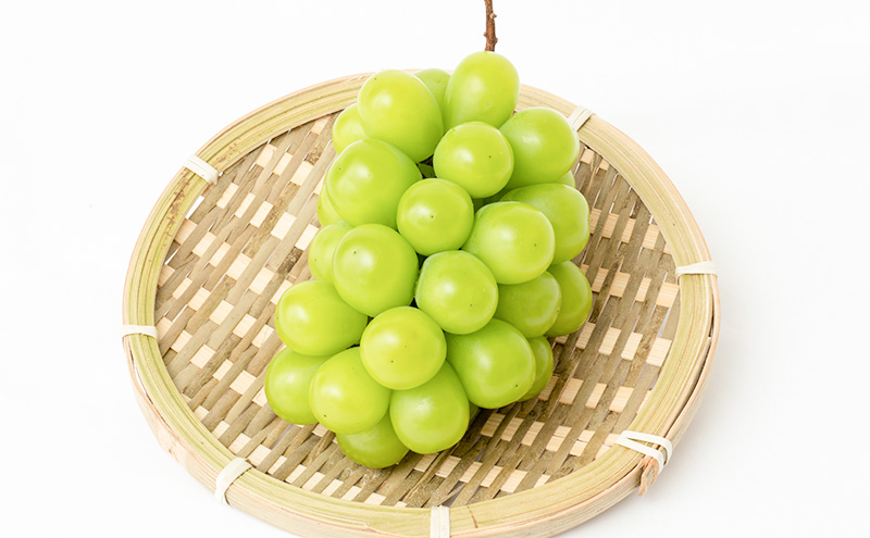 ぶどう 2026年 先行予約 シャイン マスカット 晴王 1房 700g以上 化粧箱入り マスカット ブドウ 葡萄  岡山県産 国産 フルーツ 果物 ギフト 高級ぶどう 大粒 種なし 贈答品 