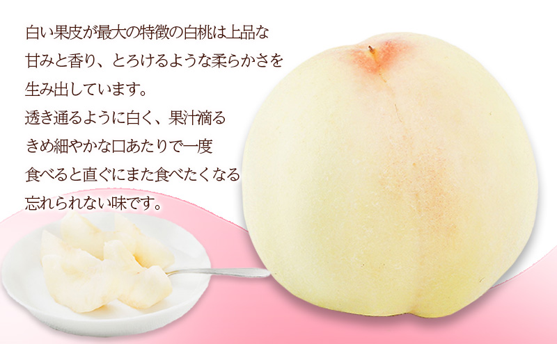 æ¡ 2026幎 å
è¡äºçŽ å²¡å±± ã® çœæ¡ 6çïŒåèš1.6kg以äžïŒåç²§ç®±å
¥ã ãã ã¢ã¢ 岡山çç£ åœç£ ãã«ãŒã æç© ã®ãã ãã¶ãŒã äžåãªçã¿ ãšããã ç£å°çŽé