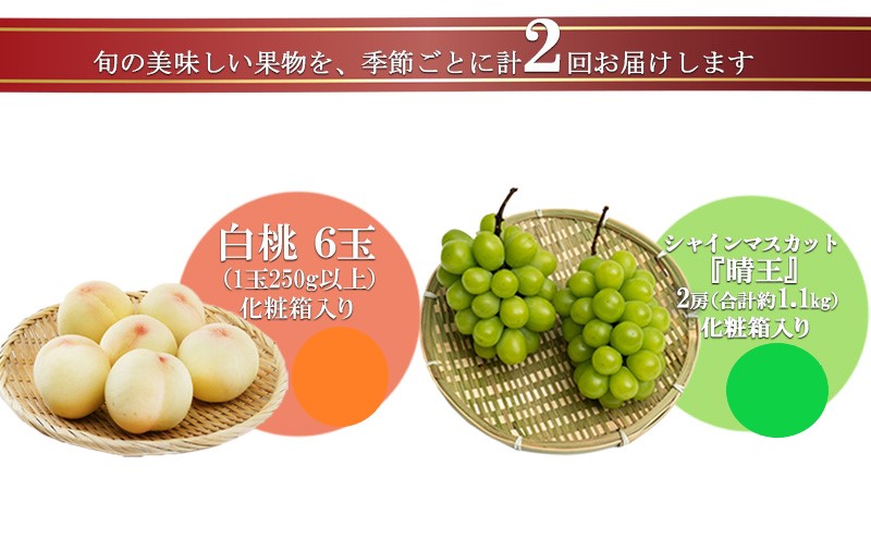 フルーツ 2026年 先行予約 晴れの国 岡山 の フルーツ 定期便 2回コース 桃 ぶどう 岡山県産 国産 フルーツ 果物 ギフト マスカット もも モモ お楽しみ 高級ぶどう 