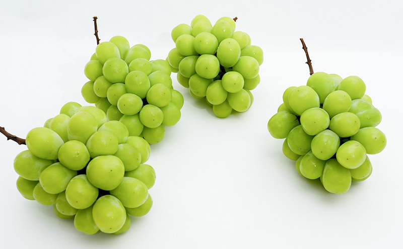 ã¶ã©ã 2026幎 å
è¡äºçŽ ã·ã£ã€ã³ ãã¹ã«ãã æŽç 4æ¿ïŒ1æ¿480g以äžïŒçŽ2kg ãã¹ã«ãã 岡山çç£ åœç£ ãã«ãŒã æç© ã®ãã äžåãªéŠã é«çŽã¶ã©ã é«çŽã·ã£ã€ã³ãã¹ã«ãã å€§ç² çš®ãªã ç®ããš