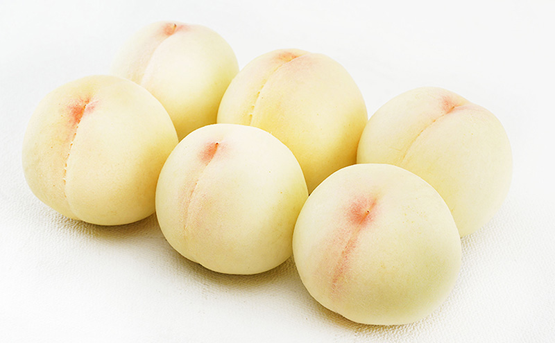 æ¡ 2026幎 å
è¡äºçŽ å²¡å±± ã® çœæ¡ 6çïŒåèš1.6kg以äžïŒåç²§ç®±å
¥ã ãã ã¢ã¢ 岡山çç£ åœç£ ãã«ãŒã æç© ã®ãã ãã¶ãŒã äžåãªçã¿ ãšããã ç£å°çŽé