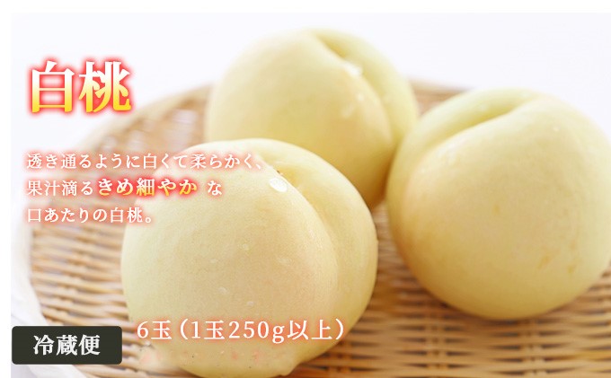 ãã«ãŒã 2026幎 å
è¡äºçŽ æŽãã®åœ 岡山 ã® ãã«ãŒã å®æäŸ¿ 6åã³ãŒã¹ æ¡ ã¶ã©ã 梚 岡山çç£ åœç£ ãã«ãŒã æç© ã®ãã