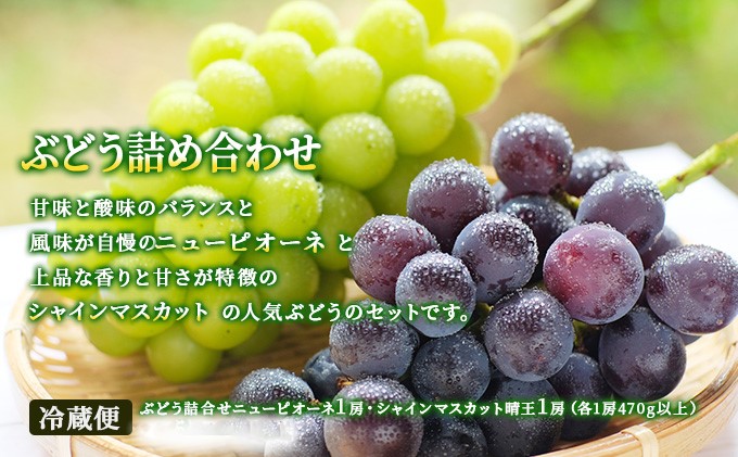 ãã«ãŒã 2026幎 å
è¡äºçŽ æŽãã®åœ 岡山 ã® ãã«ãŒã å®æäŸ¿ 6åã³ãŒã¹ æ¡ ã¶ã©ã 梚 岡山çç£ åœç£ ãã«ãŒã æç© ã®ãã