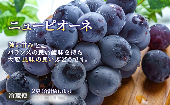 ãã«ãŒã 2026幎 å
è¡äºçŽ æŽãã®åœ 岡山 ã® ãã«ãŒã å®æäŸ¿ 6åã³ãŒã¹ æ¡ ã¶ã©ã 梚 岡山çç£ åœç£ ãã«ãŒã æç© ã®ãã