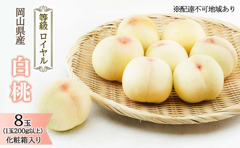 桃 2026年 先行予約 白桃 8玉 （1玉200g以上） 等級：ロイヤル 化粧箱入り もも モモ 岡山県産 国産 フルーツ 果物 ギフト 贈答品 糖度12.0度以上