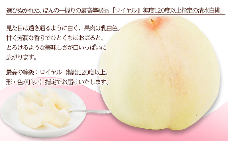 桃 2026年 先行予約 清水 白桃 6玉 （1玉250g以上） 等級：ロイヤル 化粧箱入り もも モモ 岡山県産 国産 フルーツ 果物 ギフト 贈答品 糖度12.0度以上 