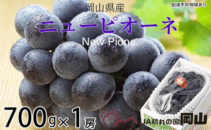 ぶどう 2026年 先行予約 ニュー ピオーネ 約700g×1房 8月下旬～10月上旬発送 ブドウ 葡萄  岡山県産 国産 フルーツ 果物 ギフト 岡山の葡萄 デザート 食後 