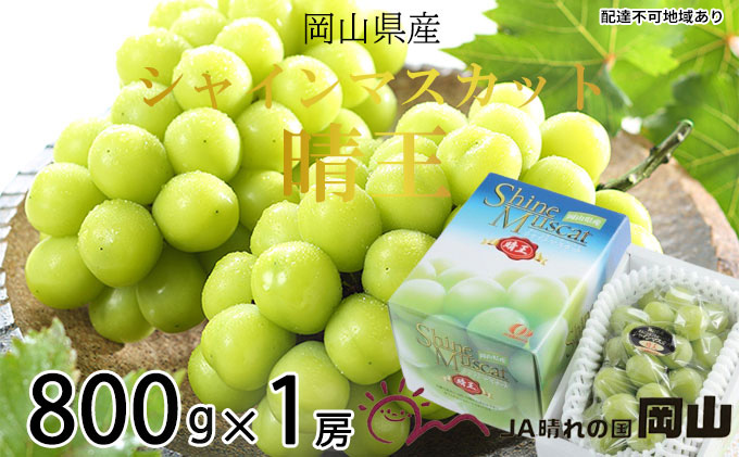 ぶどう 2026年 先行予約 シャイン マスカット 晴王 約800g×1房 8月下旬～11月下旬発送 ブドウ 葡萄  岡山県産 国産 フルーツ 果物 ギフト 岡山の葡萄 デザート 食後