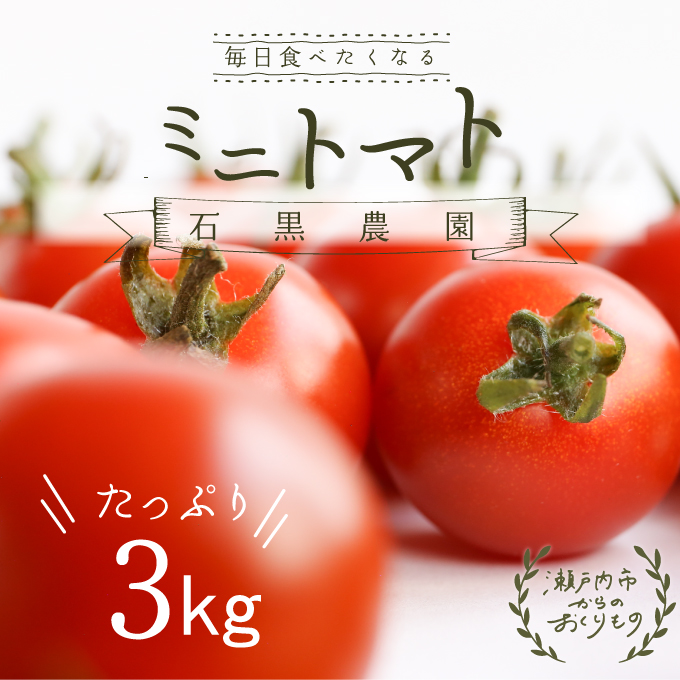 毎日食べたい石黒さんちの ミニトマト たっぷり 3kg 岡山県 瀬戸内市産 石黒農園【配達不可：離島】 野菜 緑黄色野菜 サラダ 付け合わせ 有機肥料