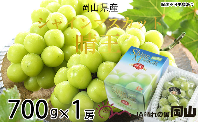 ぶどう 2025年 先行予約 シャイン マスカット 晴王 約700g×1房 8月下旬～11月下旬発送 ブドウ 葡萄  岡山県産 国産 フルーツ 果物 ギフト 岡山の葡萄 デザート 食後