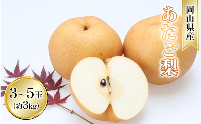 梨 2025年 先行予約 あたご梨 約3kg 3～5玉入り  なし ナシ  岡山県産 国産 フルーツ 果物 ギフト 和梨 デザート 食後 日本一の大きさ 大玉 シャリシャリ